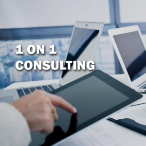 1 on 1 consulting